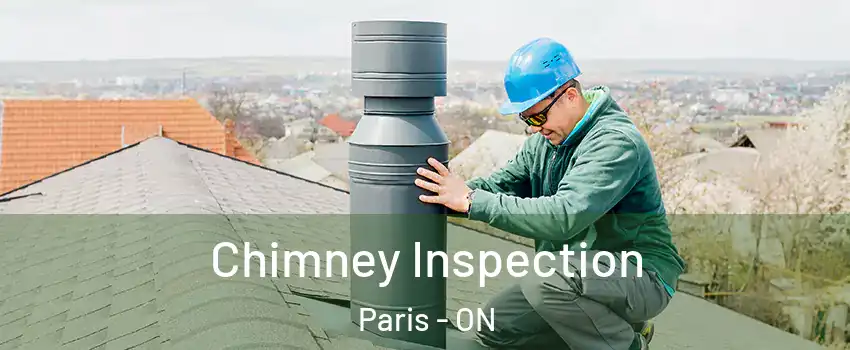  Chimney Inspection Paris - ON
