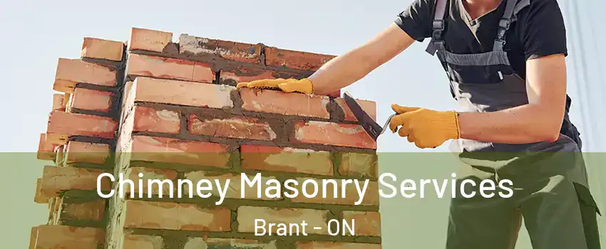 Chimney Masonry Services Brant - ON