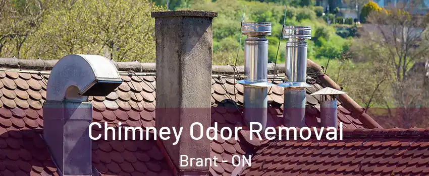  Chimney Odor Removal Brant - ON