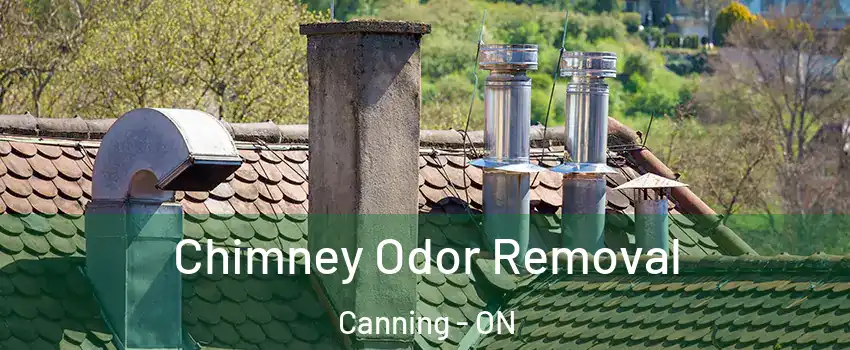  Chimney Odor Removal Canning - ON