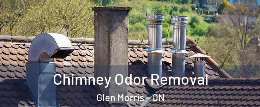 Chimney Odor Removal Glen Morris - ON