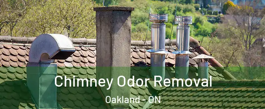Chimney Odor Removal Oakland - ON