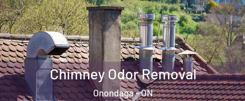 Chimney Odor Removal Onondaga - ON
