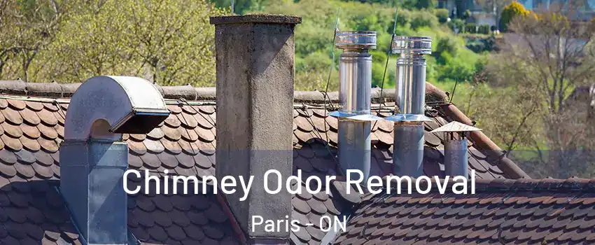  Chimney Odor Removal Paris - ON