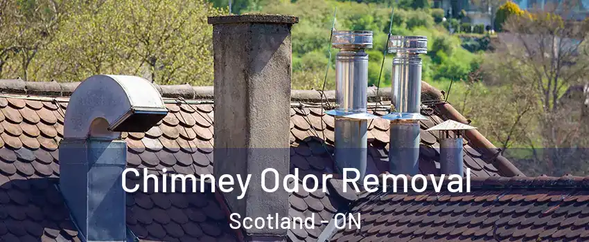  Chimney Odor Removal Scotland - ON