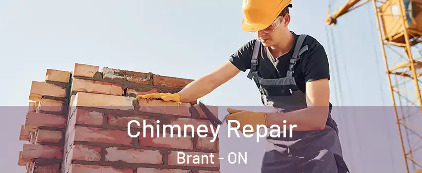  Chimney Repair Brant - ON
