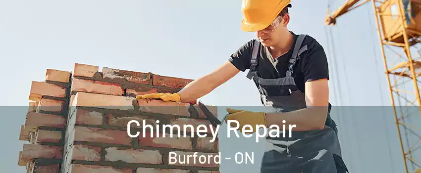 Chimney Repair Burford - ON