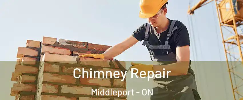  Chimney Repair Middleport - ON