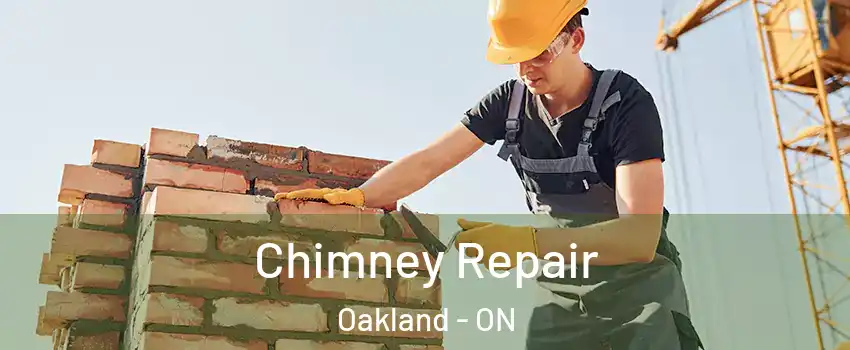 Chimney Repair Oakland - ON