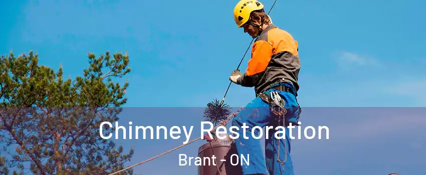 Chimney Restoration Brant - ON