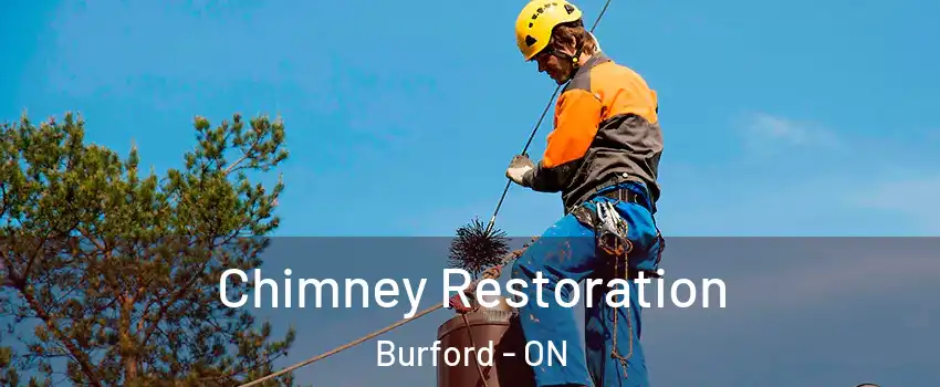  Chimney Restoration Burford - ON