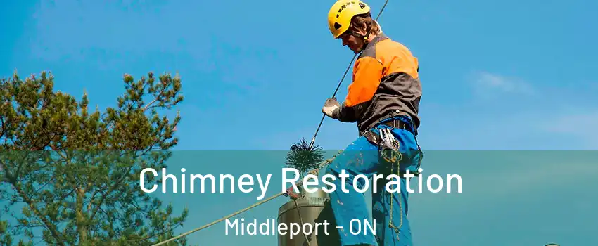  Chimney Restoration Middleport - ON