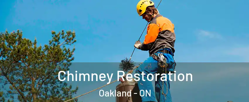  Chimney Restoration Oakland - ON