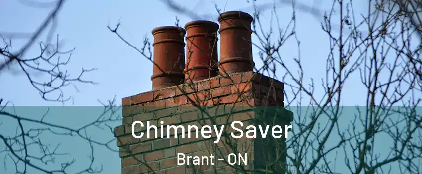  Chimney Saver Brant - ON