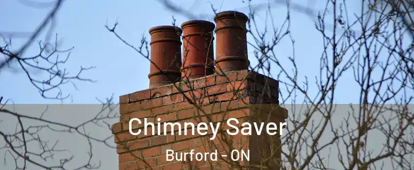 Chimney Saver Burford - ON