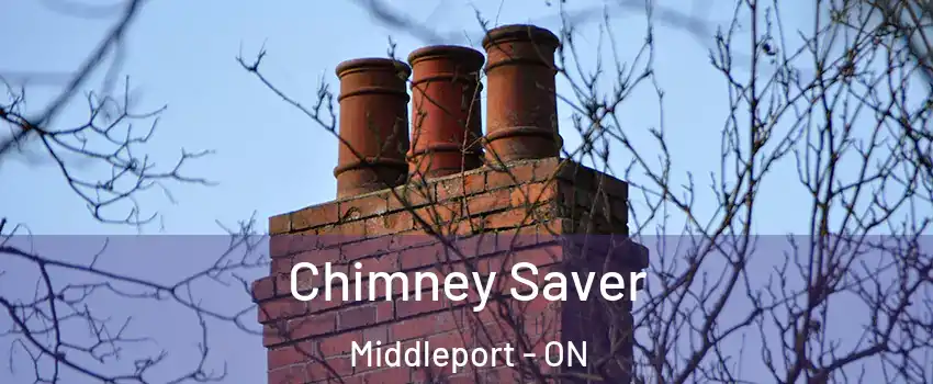  Chimney Saver Middleport - ON
