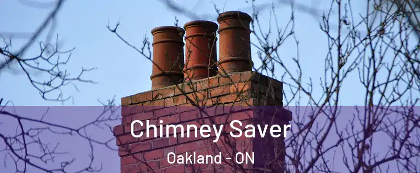  Chimney Saver Oakland - ON