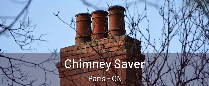  Chimney Saver Paris - ON