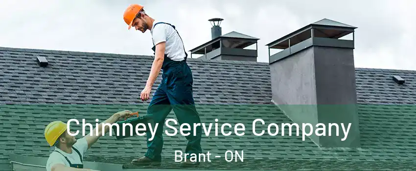  Chimney Service Company Brant - ON