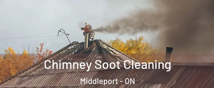 Chimney Soot Cleaning Middleport - ON