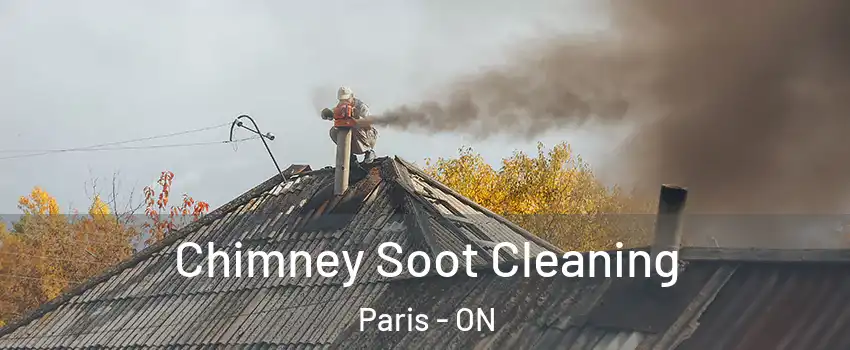  Chimney Soot Cleaning Paris - ON
