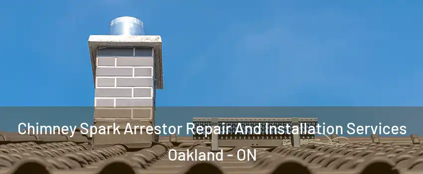  Chimney Spark Arrestor Repair And Installation Services Oakland - ON