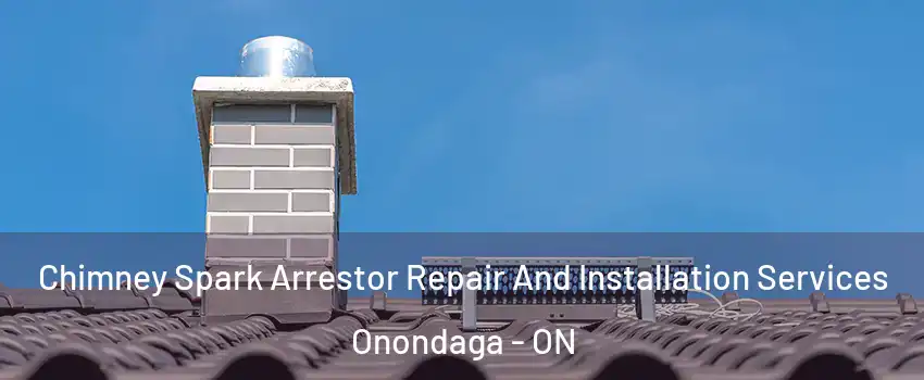  Chimney Spark Arrestor Repair And Installation Services Onondaga - ON