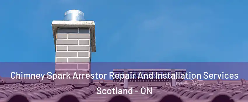  Chimney Spark Arrestor Repair And Installation Services Scotland - ON