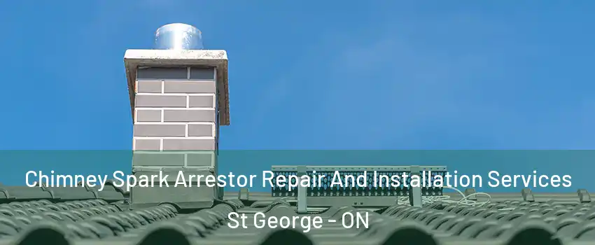 Chimney Spark Arrestor Repair And Installation Services St George - ON