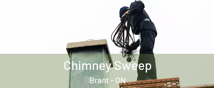  Chimney Sweep Brant - ON