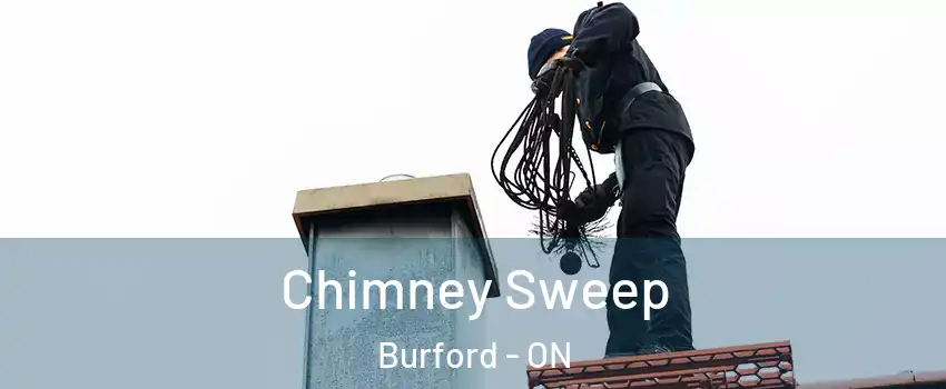  Chimney Sweep Burford - ON