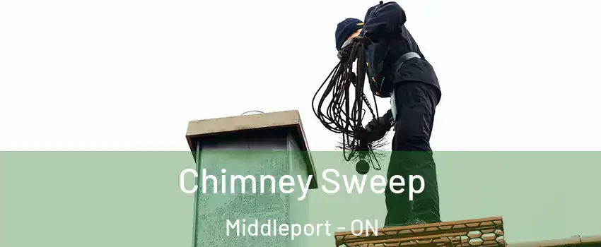  Chimney Sweep Middleport - ON