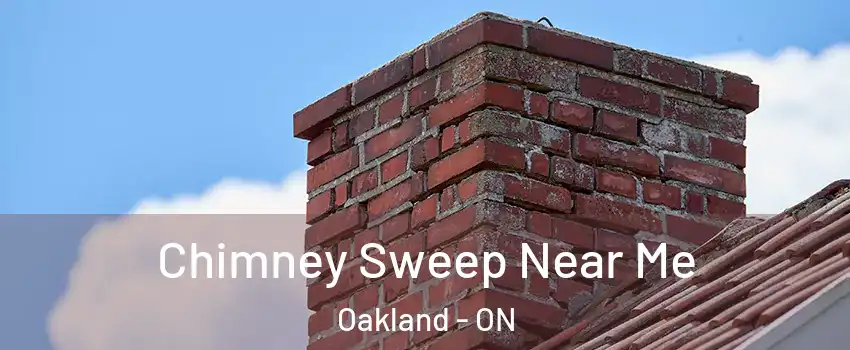  Chimney Sweep Near Me Oakland - ON