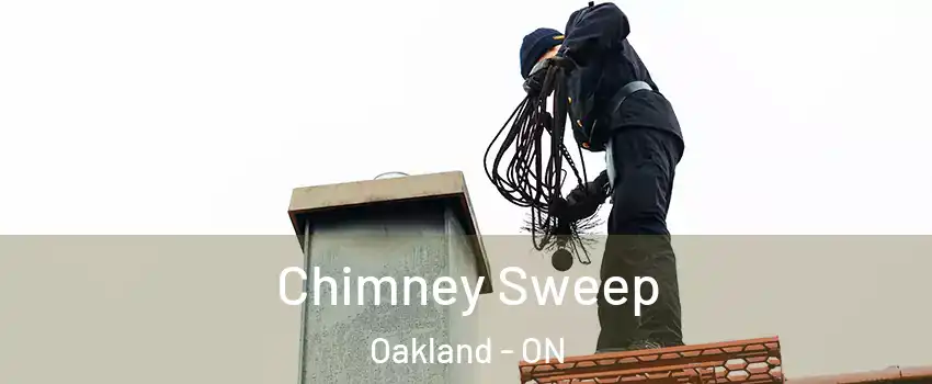  Chimney Sweep Oakland - ON