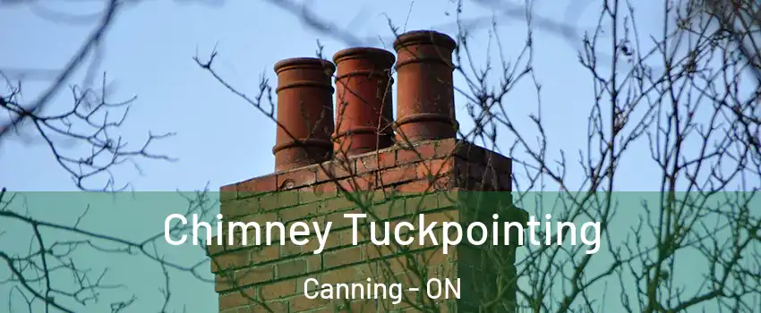  Chimney Tuckpointing Canning - ON