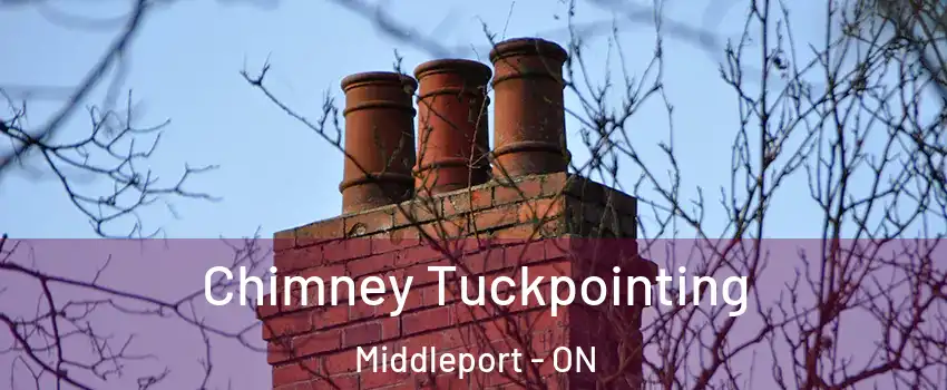  Chimney Tuckpointing Middleport - ON