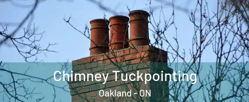  Chimney Tuckpointing Oakland - ON