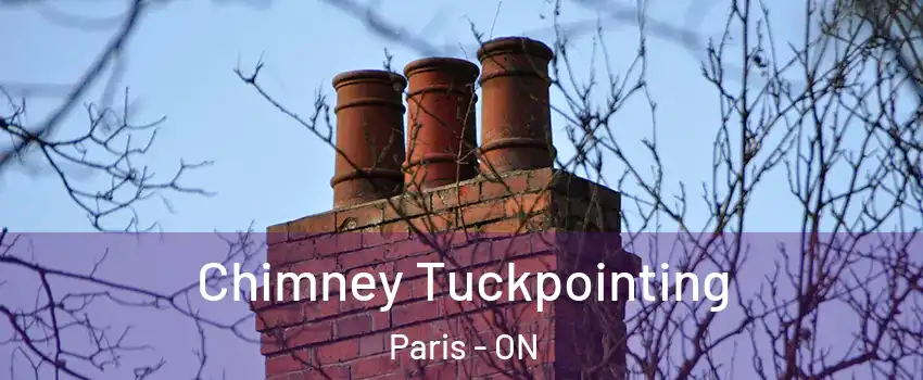  Chimney Tuckpointing Paris - ON