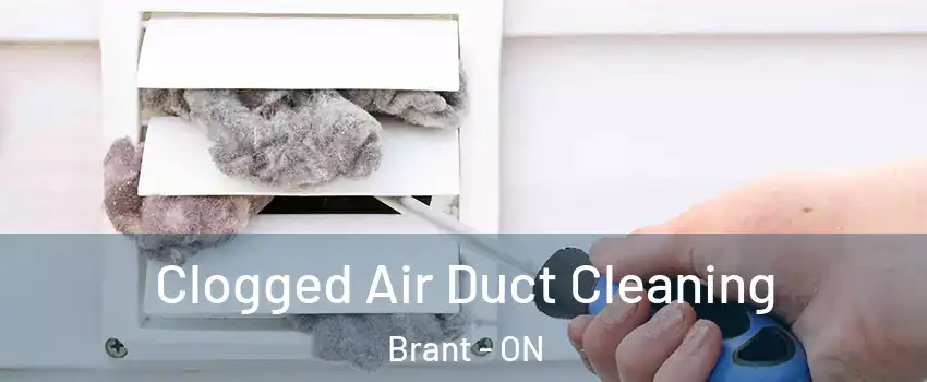  Clogged Air Duct Cleaning Brant - ON