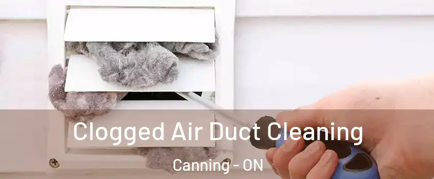  Clogged Air Duct Cleaning Canning - ON