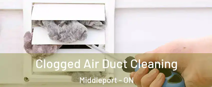  Clogged Air Duct Cleaning Middleport - ON
