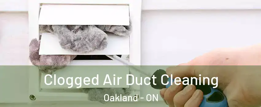  Clogged Air Duct Cleaning Oakland - ON