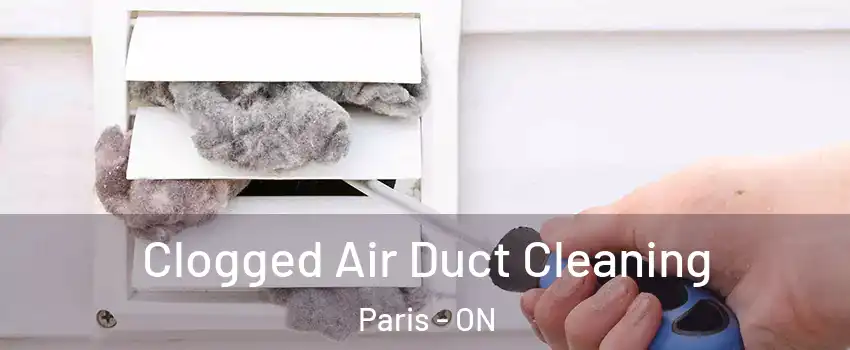  Clogged Air Duct Cleaning Paris - ON