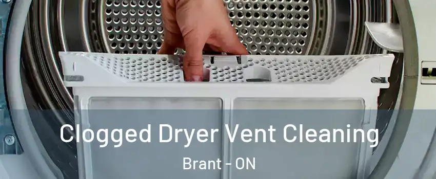  Clogged Dryer Vent Cleaning Brant - ON