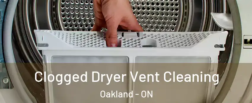  Clogged Dryer Vent Cleaning Oakland - ON