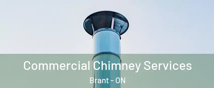 Commercial Chimney Services Brant - ON