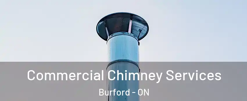  Commercial Chimney Services Burford - ON