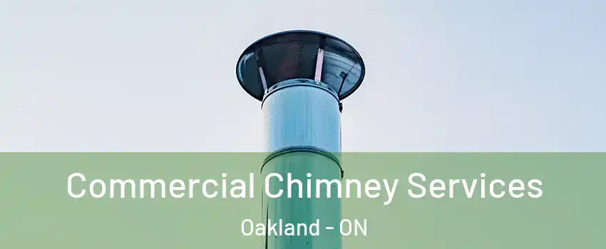  Commercial Chimney Services Oakland - ON