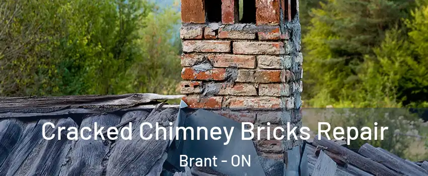  Cracked Chimney Bricks Repair Brant - ON