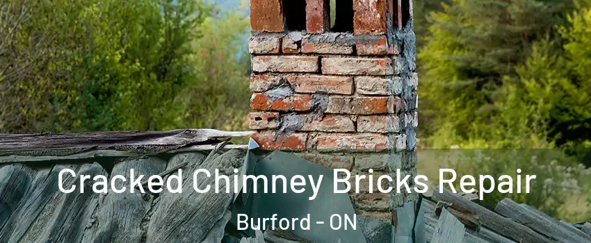 Cracked Chimney Bricks Repair Burford - ON